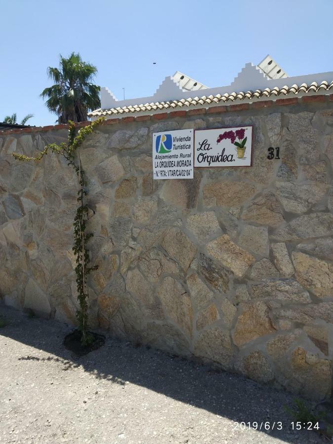 La Orquidea Morada Villa Conil De La Frontera Exteriör bild